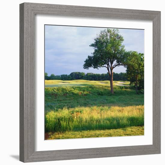 Trees in a Golf Course, Heron Glen Golf Club, Ringoes, New Jersey, USA-null-Framed Photographic Print