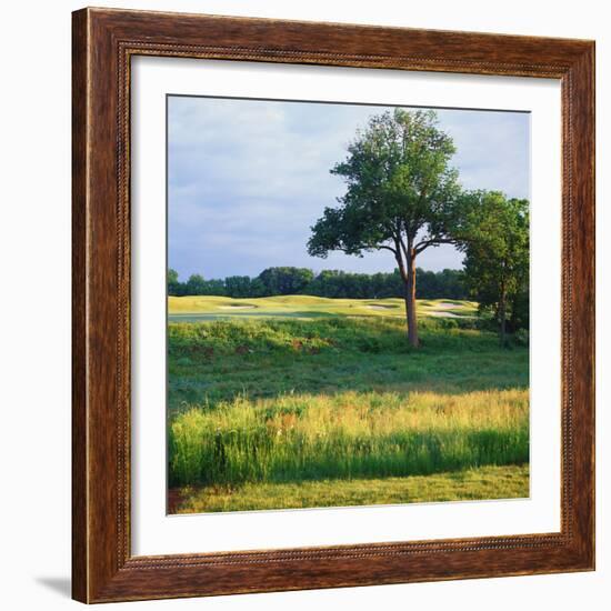 Trees in a Golf Course, Heron Glen Golf Club, Ringoes, New Jersey, USA-null-Framed Photographic Print