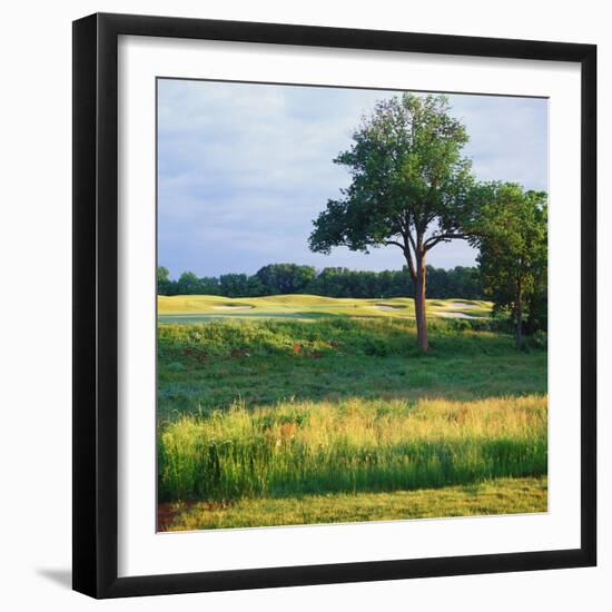 Trees in a Golf Course, Heron Glen Golf Club, Ringoes, New Jersey, USA-null-Framed Photographic Print
