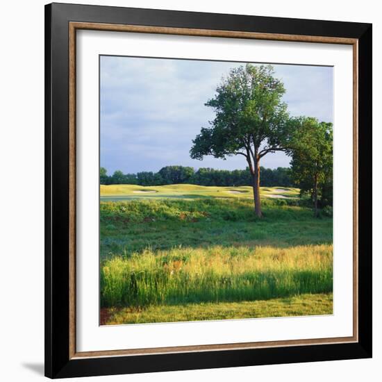 Trees in a Golf Course, Heron Glen Golf Club, Ringoes, New Jersey, USA-null-Framed Photographic Print