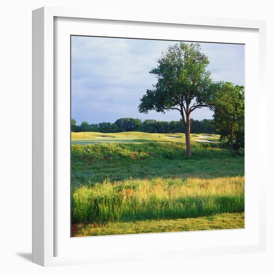 Trees in a Golf Course, Heron Glen Golf Club, Ringoes, New Jersey, USA-null-Framed Photographic Print