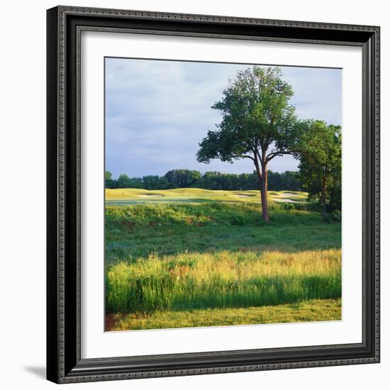 Trees in a Golf Course, Heron Glen Golf Club, Ringoes, New Jersey, USA-null-Framed Photographic Print