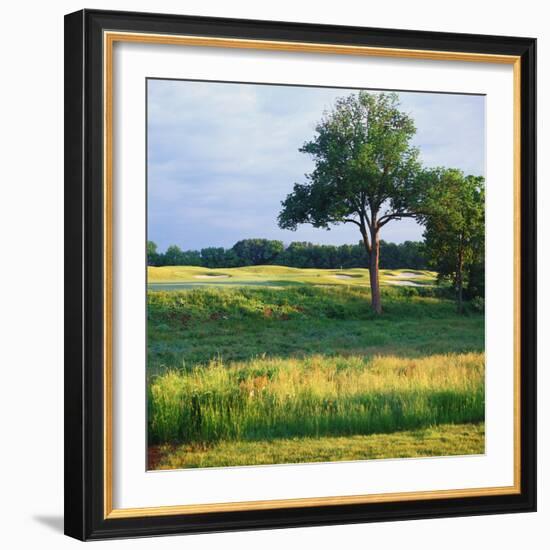 Trees in a Golf Course, Heron Glen Golf Club, Ringoes, New Jersey, USA-null-Framed Photographic Print