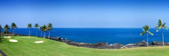 trees in a golf course kona country club ocean course kailua kona