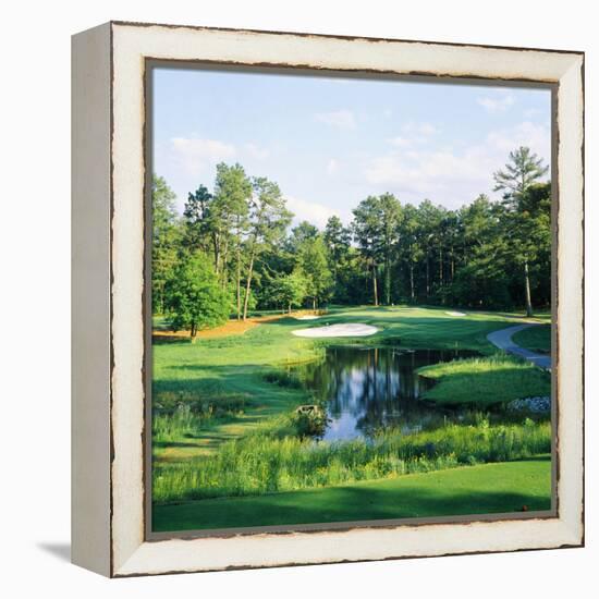 Trees in a Golf Course, Pine Needles Lodge and Golf Club, Pinehurst, Moore County-null-Framed Premier Image Canvas