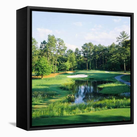 Trees in a Golf Course, Pine Needles Lodge and Golf Club, Pinehurst, Moore County-null-Framed Premier Image Canvas