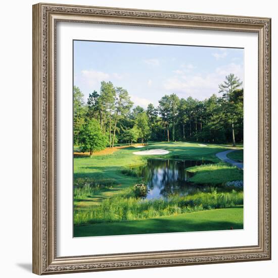 Trees in a Golf Course, Pine Needles Lodge and Golf Club, Pinehurst, Moore County-null-Framed Photographic Print