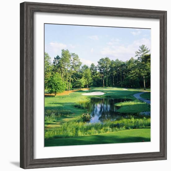 Trees in a Golf Course, Pine Needles Lodge and Golf Club, Pinehurst, Moore County-null-Framed Photographic Print