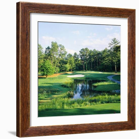 Trees in a Golf Course, Pine Needles Lodge and Golf Club, Pinehurst, Moore County-null-Framed Photographic Print