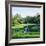 Trees in a Golf Course, Pine Needles Lodge and Golf Club, Pinehurst, Moore County-null-Framed Photographic Print