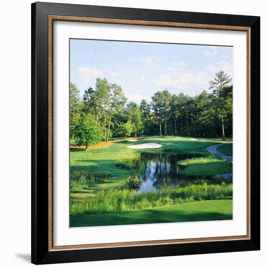 Trees in a Golf Course, Pine Needles Lodge and Golf Club, Pinehurst, Moore County-null-Framed Photographic Print