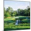 Trees in a Golf Course, Pine Needles Lodge and Golf Club, Pinehurst, Moore County-null-Mounted Photographic Print