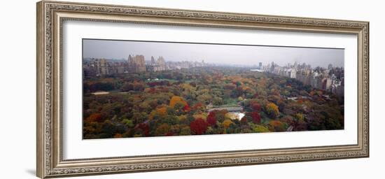 Trees in a Park, Central Park, Manhattan, New York City, New York State, USA-null-Framed Photographic Print