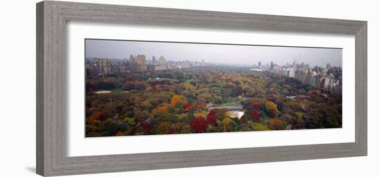 Trees in a Park, Central Park, Manhattan, New York City, New York State, USA-null-Framed Photographic Print