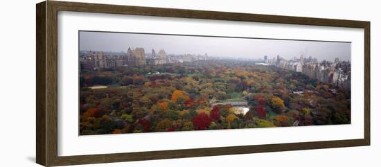 Trees in a Park, Central Park, Manhattan, New York City, New York State, USA-null-Framed Photographic Print