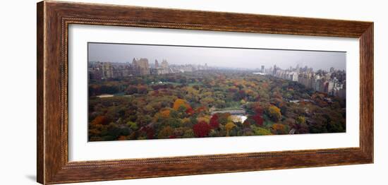 Trees in a Park, Central Park, Manhattan, New York City, New York State, USA-null-Framed Photographic Print