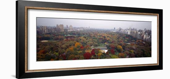 Trees in a Park, Central Park, Manhattan, New York City, New York State, USA-null-Framed Photographic Print