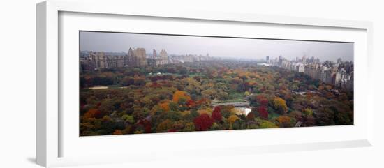 Trees in a Park, Central Park, Manhattan, New York City, New York State, USA-null-Framed Photographic Print