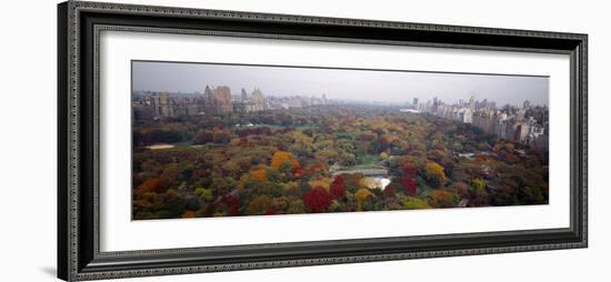 Trees in a Park, Central Park, Manhattan, New York City, New York State, USA-null-Framed Photographic Print