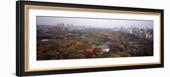 Trees in a Park, Central Park, Manhattan, New York City, New York State, USA-null-Framed Photographic Print