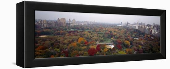 Trees in a Park, Central Park, Manhattan, New York City, New York State, USA-null-Framed Premier Image Canvas