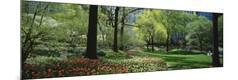 Premium Photographic Print