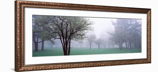 Trees in a Park, Chestnut Ridge County Park, Orchard Park, Erie County, New York State, USA-null-Framed Photographic Print