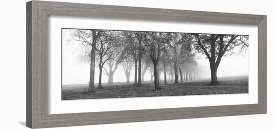 Trees in a Park During Fog, Wandsworth Park, Putney, London, England-null-Framed Photographic Print