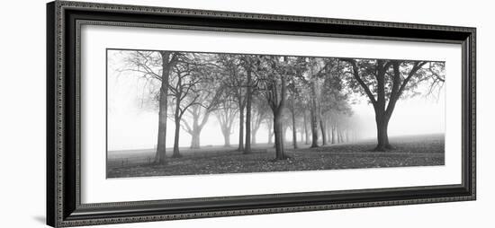 Trees in a Park During Fog, Wandsworth Park, Putney, London, England-null-Framed Photographic Print