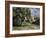 Trees in a Park, Jas De Bouffan, 1885-1887-Paul Cézanne-Framed Giclee Print