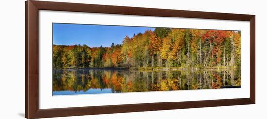 Trees in Autumn at Lake Hiawatha, Alger County, Upper Peninsula, Michigan, USA-null-Framed Photographic Print