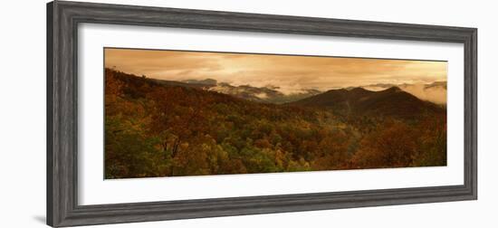 Trees in Autumn, Black Rock Mountain State Park, Georgia, USA-null-Framed Photographic Print