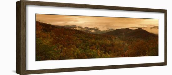 Trees in Autumn, Black Rock Mountain State Park, Georgia, USA-null-Framed Photographic Print