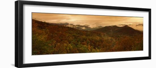 Trees in Autumn, Black Rock Mountain State Park, Georgia, USA-null-Framed Photographic Print