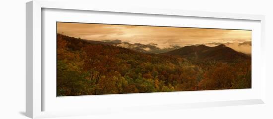 Trees in Autumn, Black Rock Mountain State Park, Georgia, USA-null-Framed Photographic Print