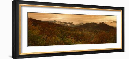 Trees in Autumn, Black Rock Mountain State Park, Georgia, USA-null-Framed Photographic Print