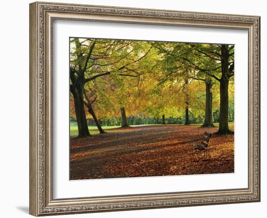 Trees in Autumn Colours and Park Bench Beside a Path at Clifton, Bristol, England, United Kingdom-Julia Bayne-Framed Photographic Print