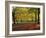 Trees in Autumn Colours and Park Bench Beside a Path at Clifton, Bristol, England, United Kingdom-Julia Bayne-Framed Photographic Print