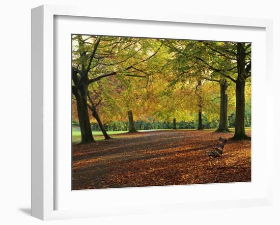 Trees in Autumn Colours and Park Bench Beside a Path at Clifton, Bristol, England, United Kingdom-Julia Bayne-Framed Photographic Print