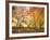 Trees in Autumn-Robert Llewellyn-Framed Photographic Print