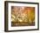 Trees in Autumn-Robert Llewellyn-Framed Photographic Print