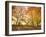 Trees in Autumn-Robert Llewellyn-Framed Photographic Print