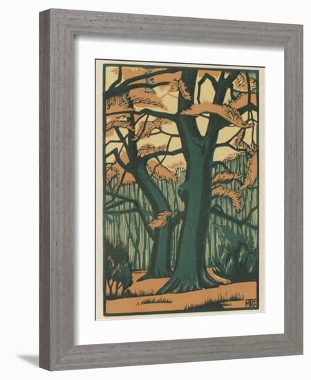 Trees in Autumn-null-Framed Photographic Print