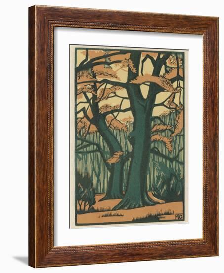 Trees in Autumn-null-Framed Photographic Print