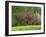 Trees in Blossom in Farmland in the Seine Valley, Eure, Basse Normandie, France, Europe-David Hughes-Framed Photographic Print