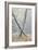 Trees in English Woodland-David Baker-Framed Photographic Print