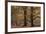 Trees in English Woodland-David Baker-Framed Photographic Print