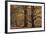 Trees in English Woodland-David Baker-Framed Photographic Print