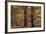 Trees in English Woodland-David Baker-Framed Photographic Print