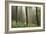 Trees in English Woodland-David Baker-Framed Photographic Print